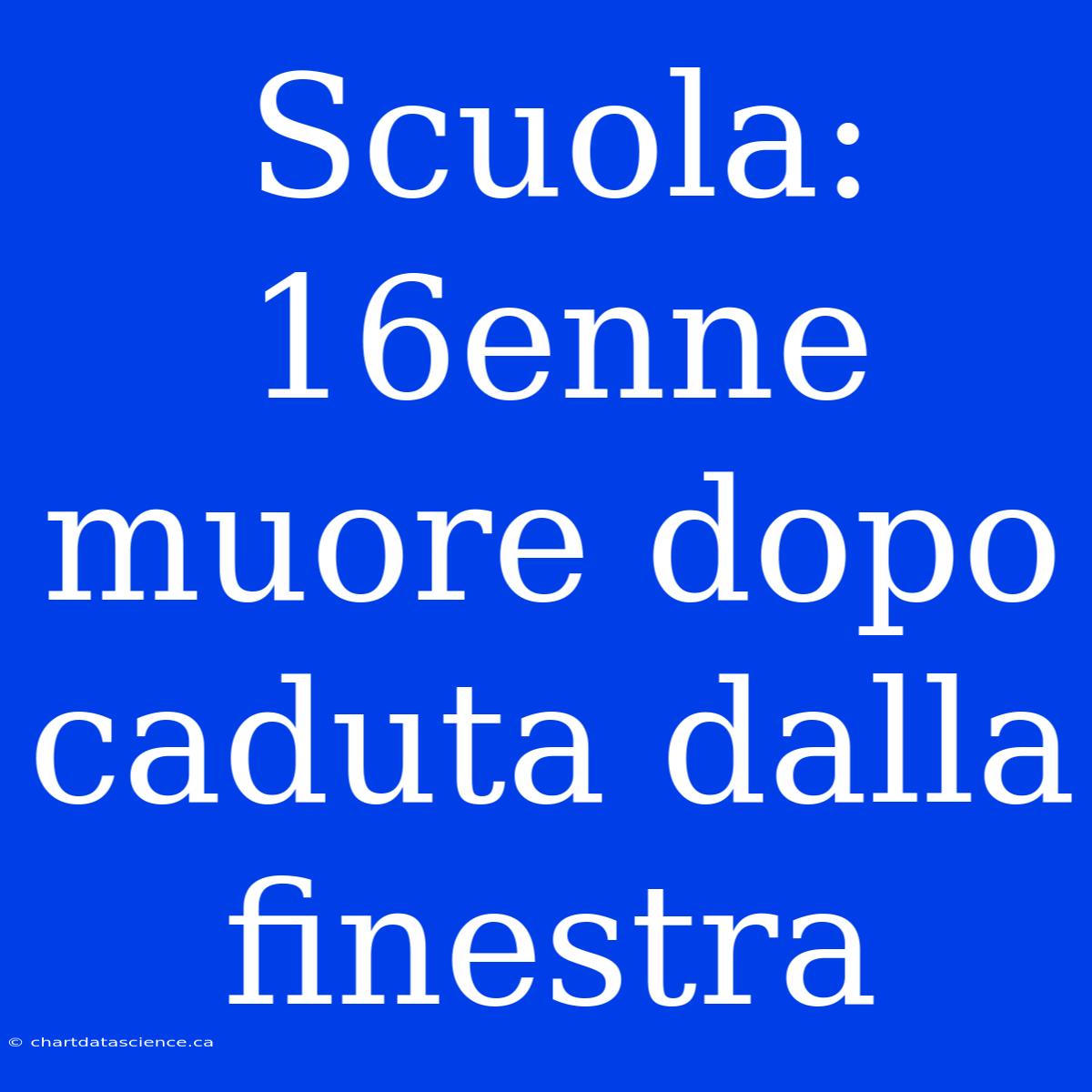 Scuola: 16enne Muore Dopo Caduta Dalla Finestra