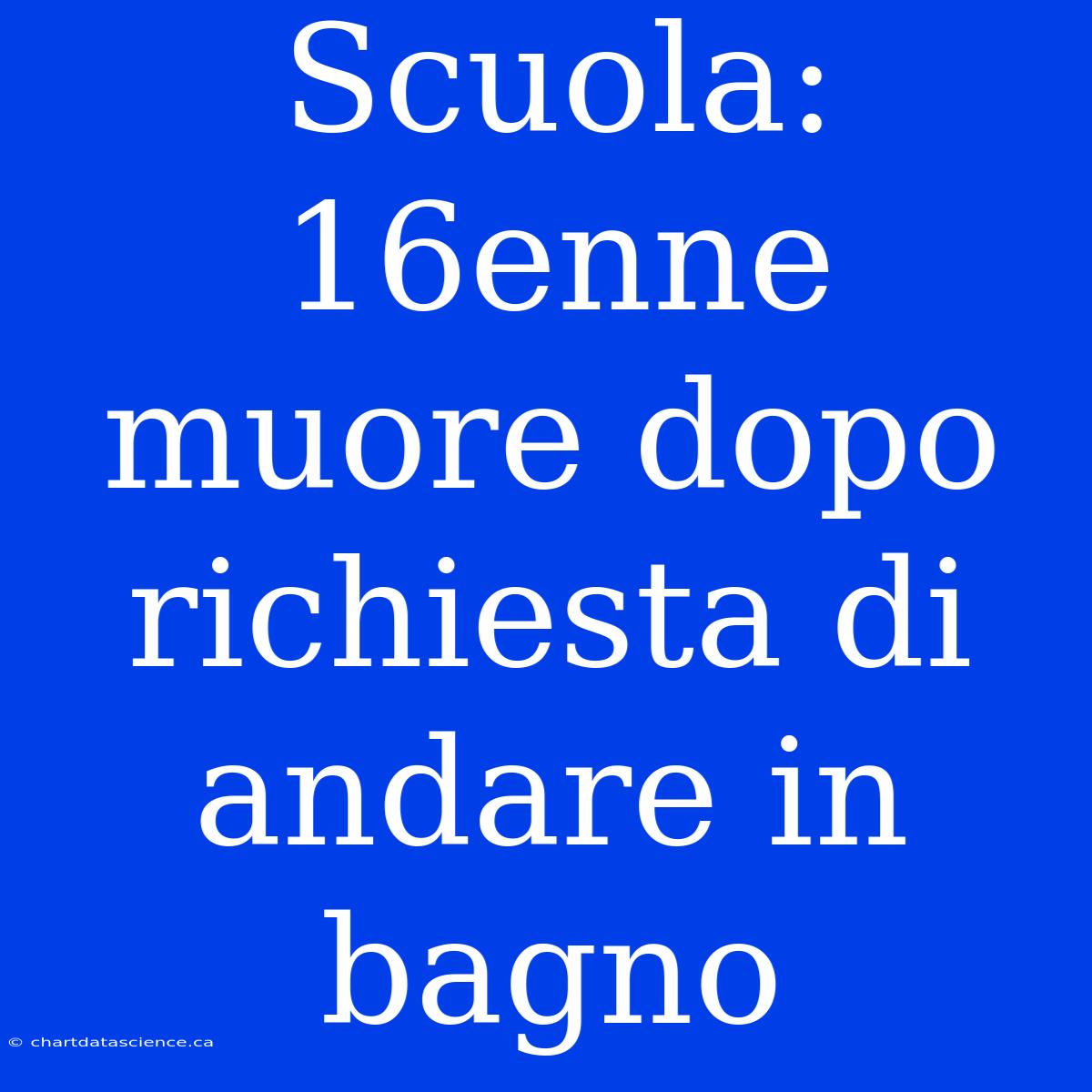 Scuola: 16enne Muore Dopo Richiesta Di Andare In Bagno