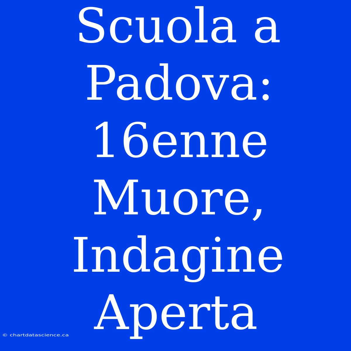 Scuola A Padova: 16enne Muore, Indagine Aperta