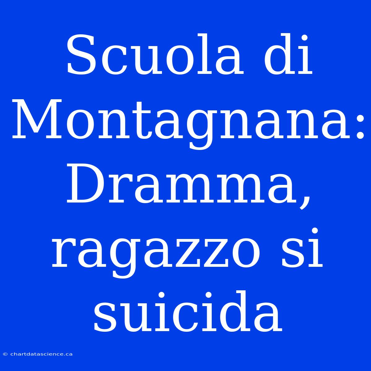 Scuola Di Montagnana: Dramma, Ragazzo Si Suicida