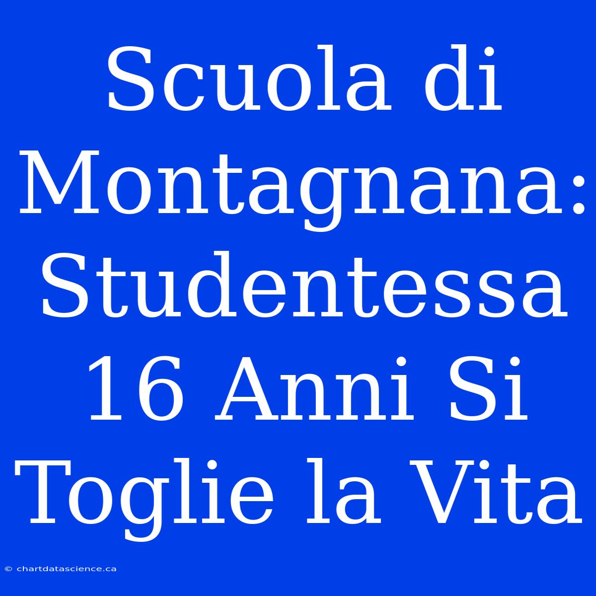 Scuola Di Montagnana: Studentessa 16 Anni Si Toglie La Vita