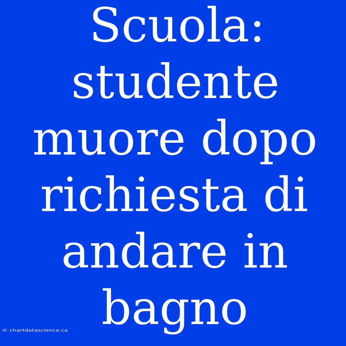 Scuola: Studente Muore Dopo Richiesta Di Andare In Bagno