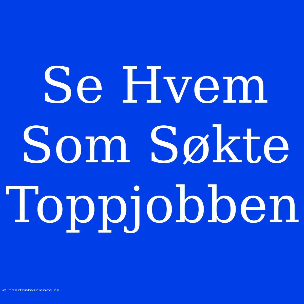 Se Hvem Som Søkte Toppjobben