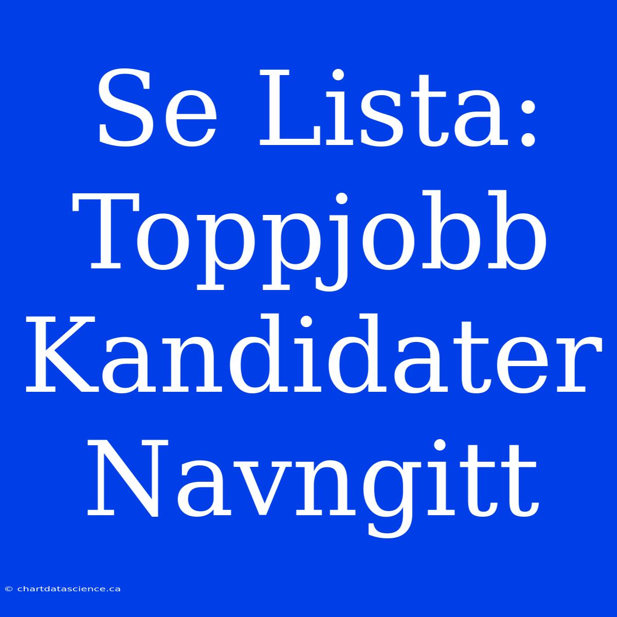 Se Lista: Toppjobb Kandidater Navngitt