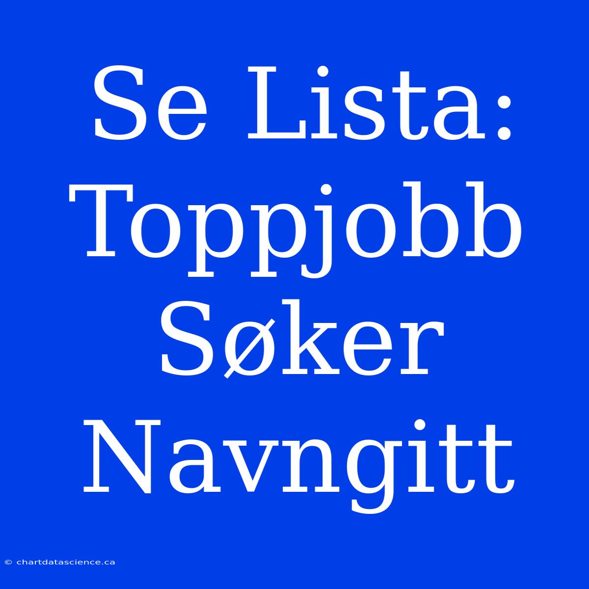 Se Lista: Toppjobb Søker Navngitt