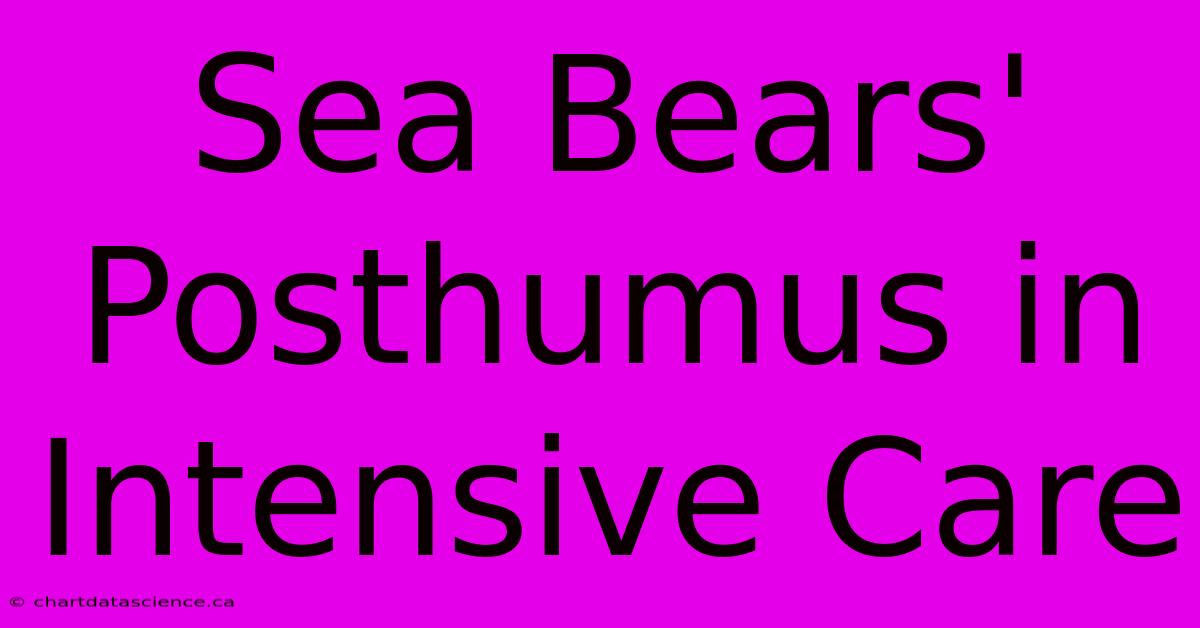 Sea Bears' Posthumus In Intensive Care 