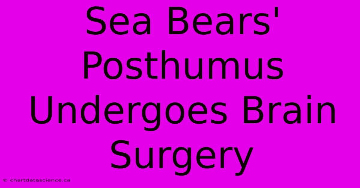 Sea Bears' Posthumus Undergoes Brain Surgery