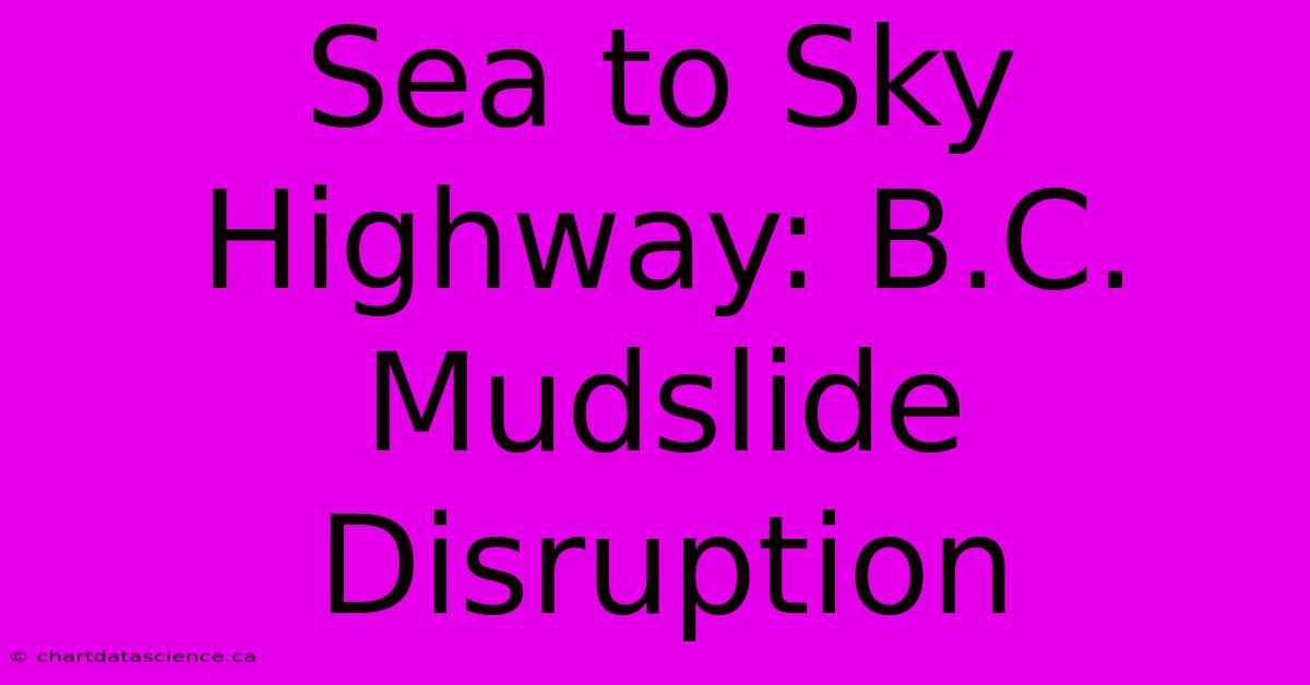 Sea To Sky Highway: B.C. Mudslide Disruption