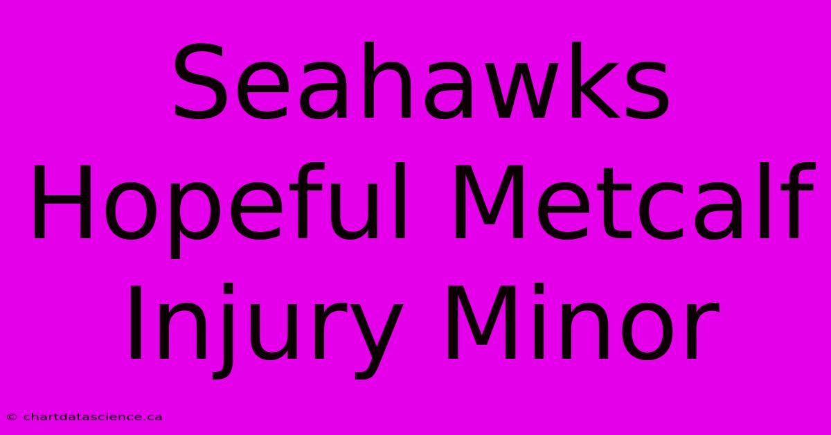 Seahawks Hopeful Metcalf Injury Minor