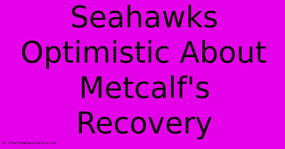 Seahawks Optimistic About Metcalf's Recovery 