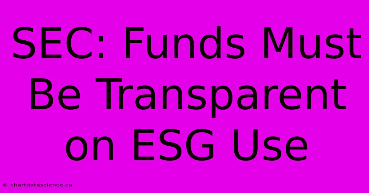 SEC: Funds Must Be Transparent On ESG Use