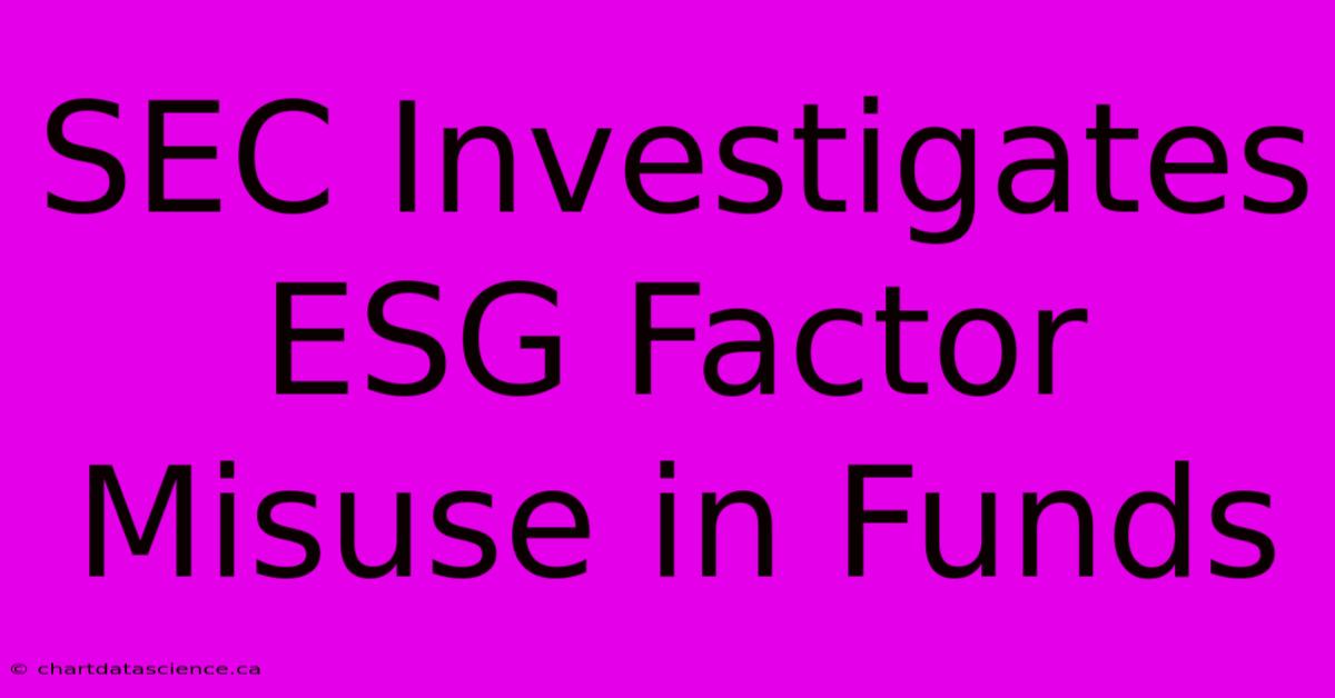 SEC Investigates ESG Factor Misuse In Funds