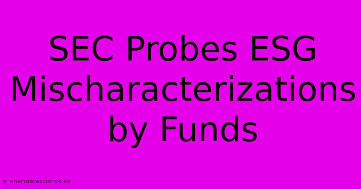 SEC Probes ESG Mischaracterizations By Funds