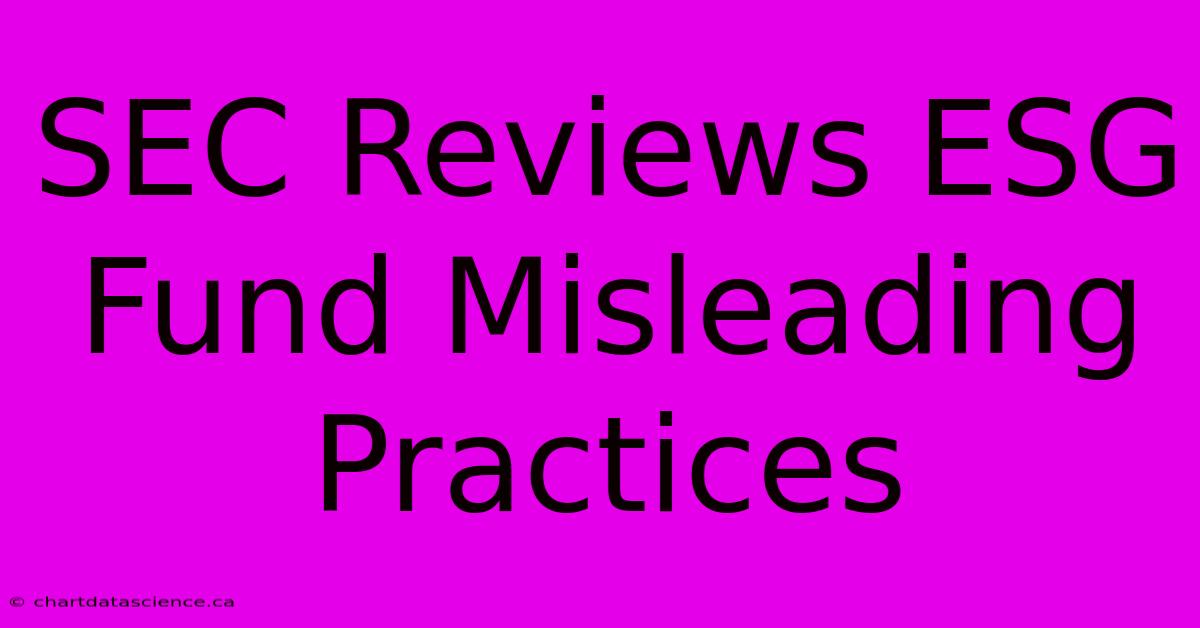 SEC Reviews ESG Fund Misleading Practices