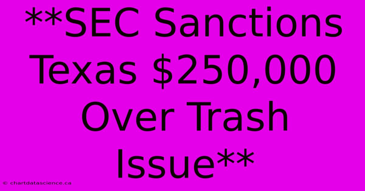 **SEC Sanctions Texas $250,000 Over Trash Issue**