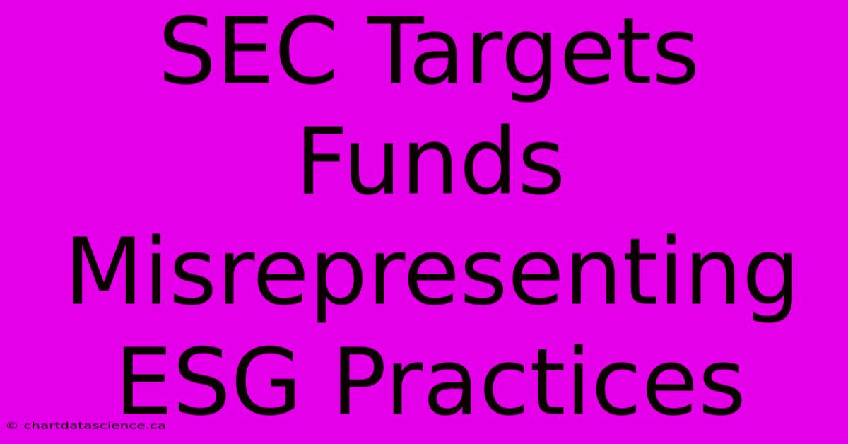 SEC Targets Funds Misrepresenting ESG Practices