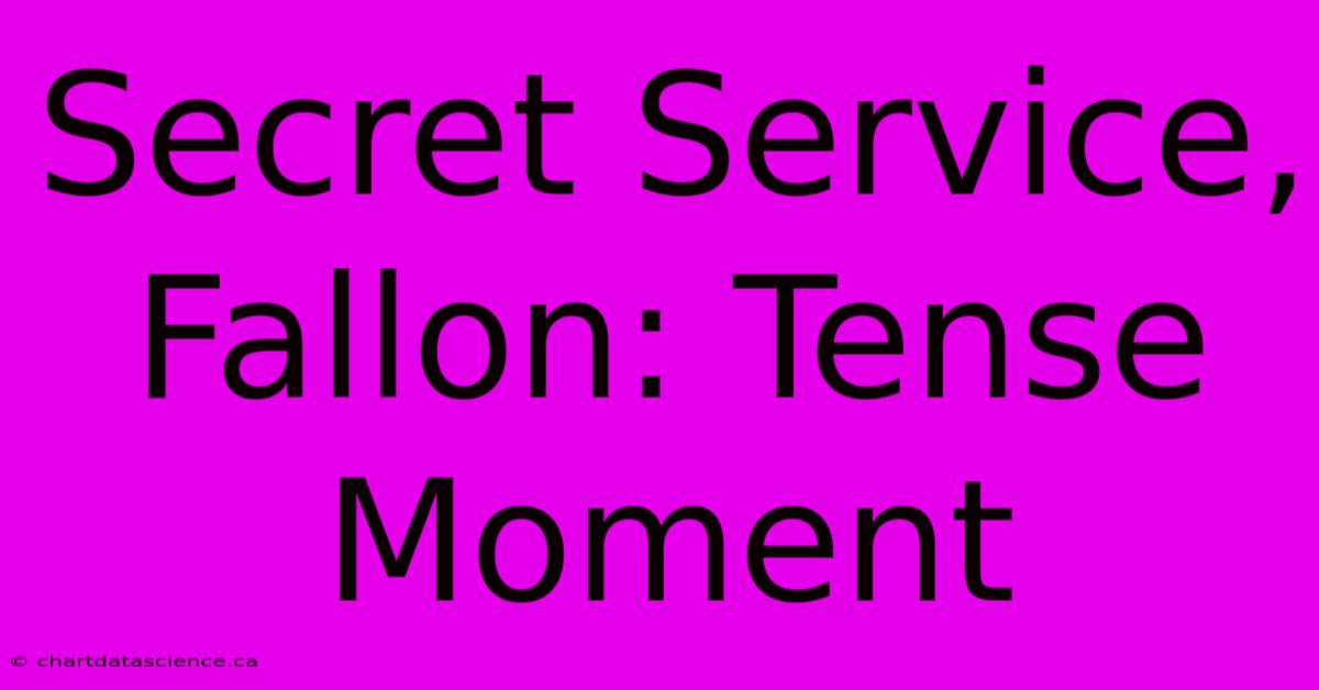 Secret Service, Fallon: Tense Moment