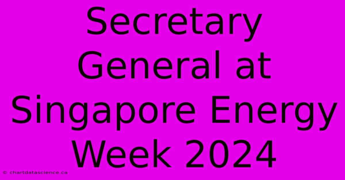 Secretary General At Singapore Energy Week 2024