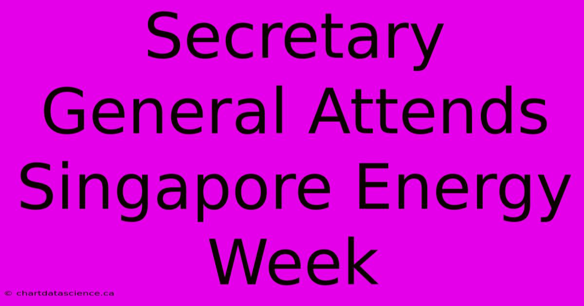 Secretary General Attends Singapore Energy Week