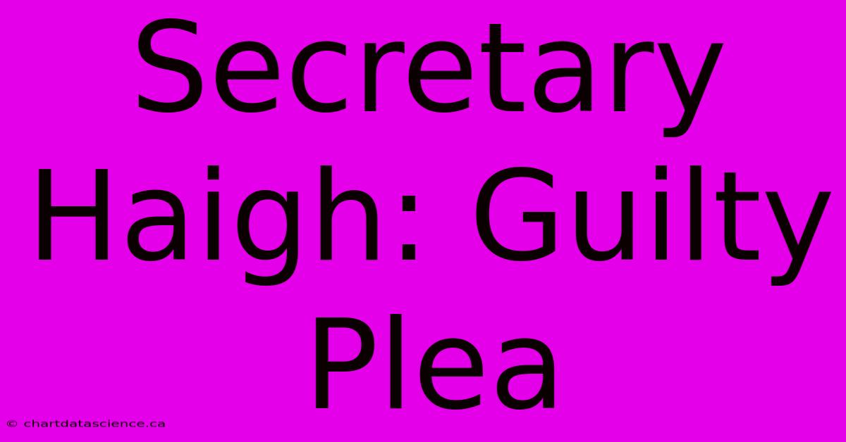 Secretary Haigh: Guilty Plea