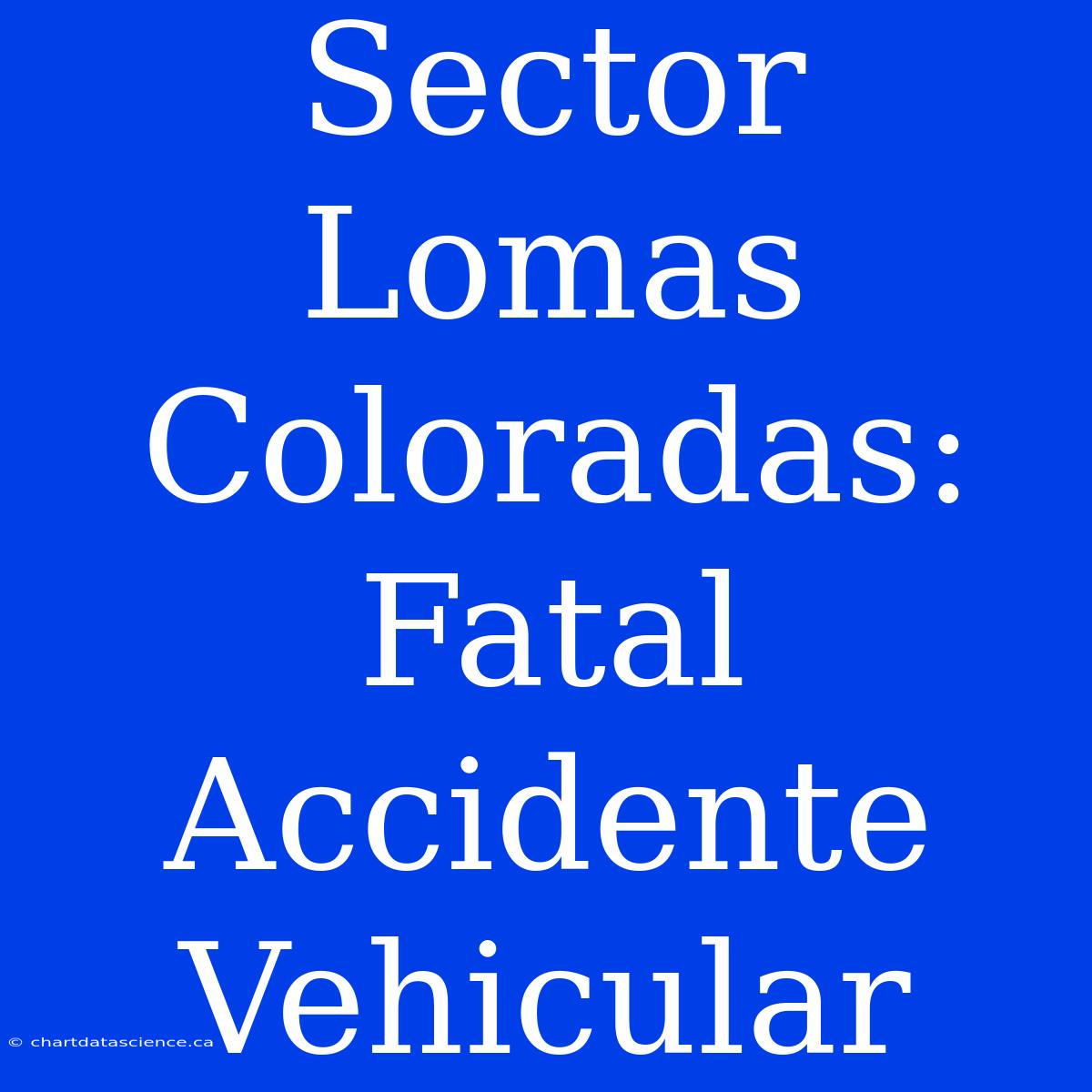 Sector Lomas Coloradas: Fatal Accidente Vehicular