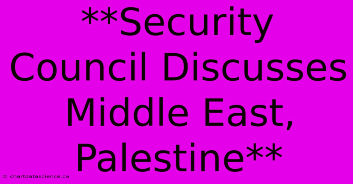 **Security Council Discusses Middle East, Palestine**