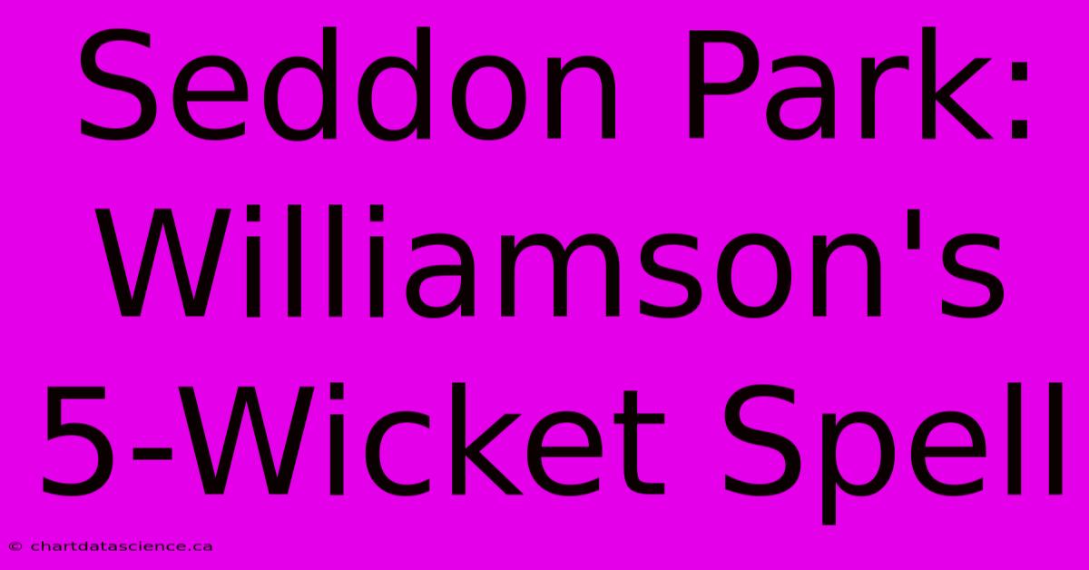 Seddon Park: Williamson's 5-Wicket Spell