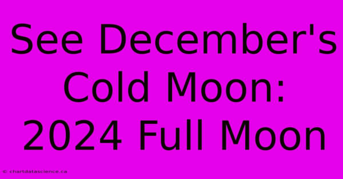 See December's Cold Moon: 2024 Full Moon