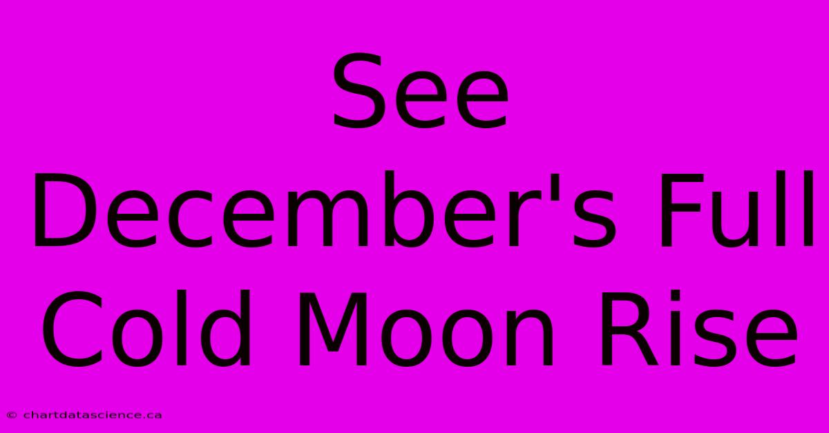 See December's Full Cold Moon Rise