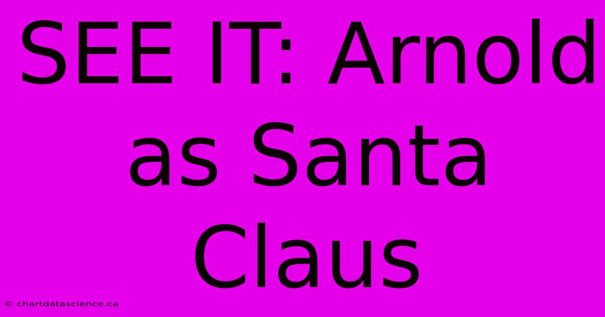 SEE IT: Arnold As Santa Claus