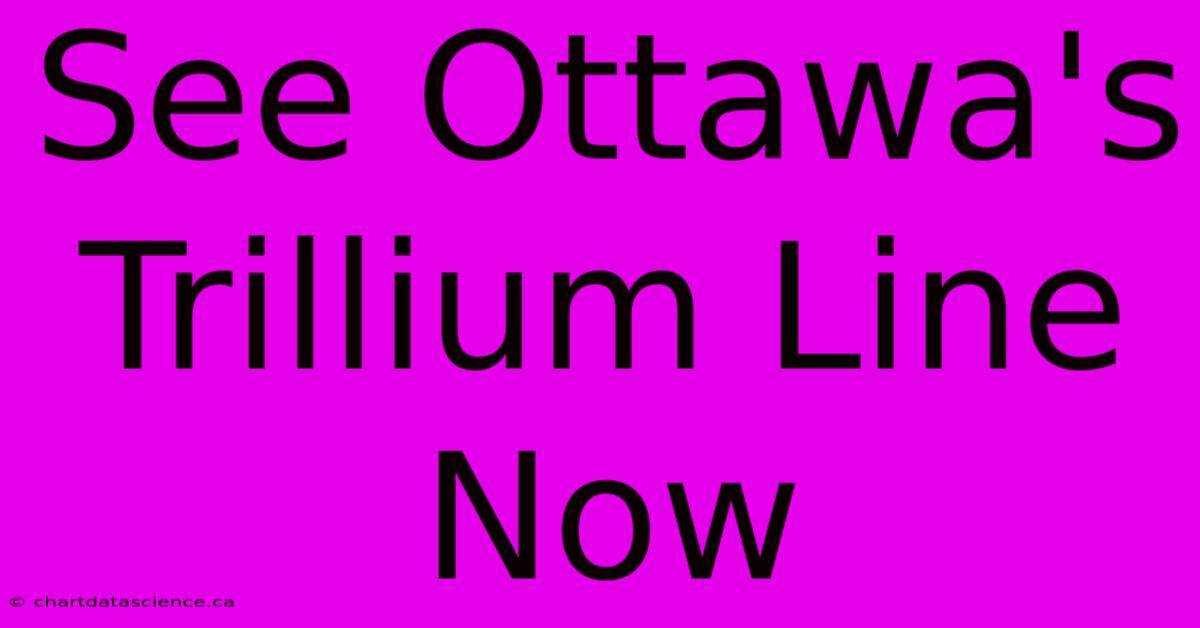 See Ottawa's Trillium Line Now