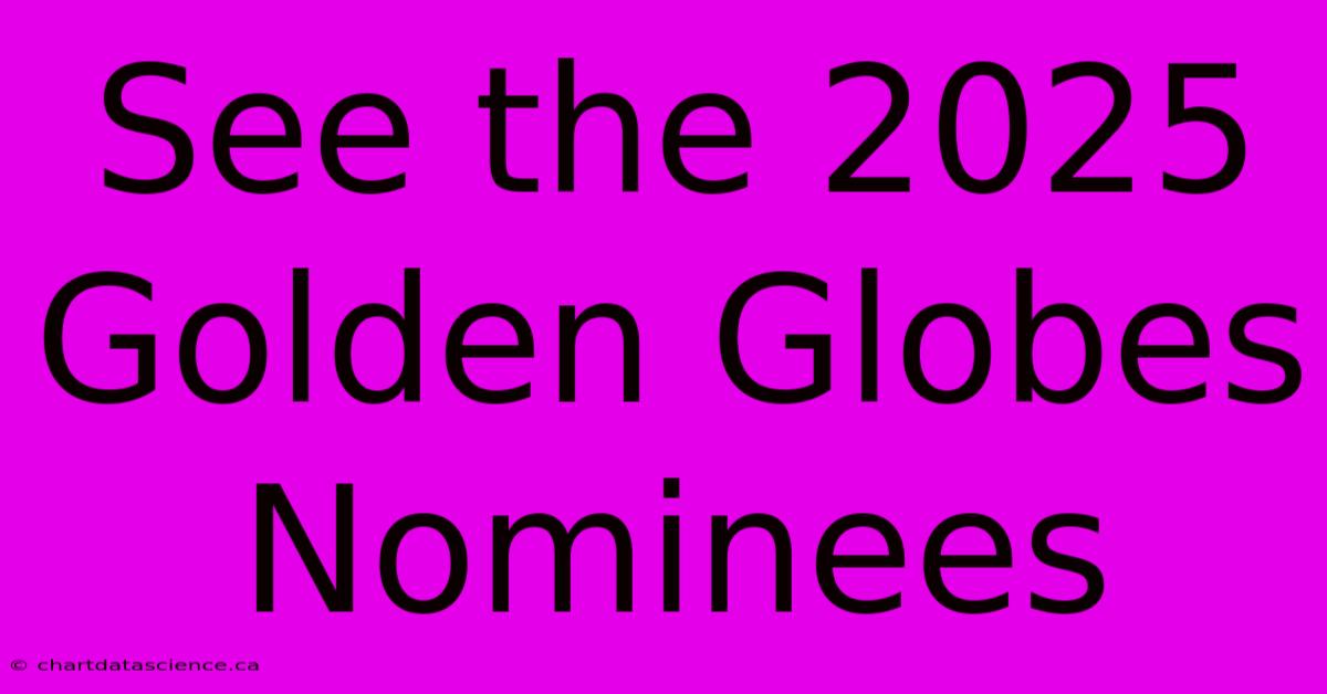 See The 2025 Golden Globes Nominees