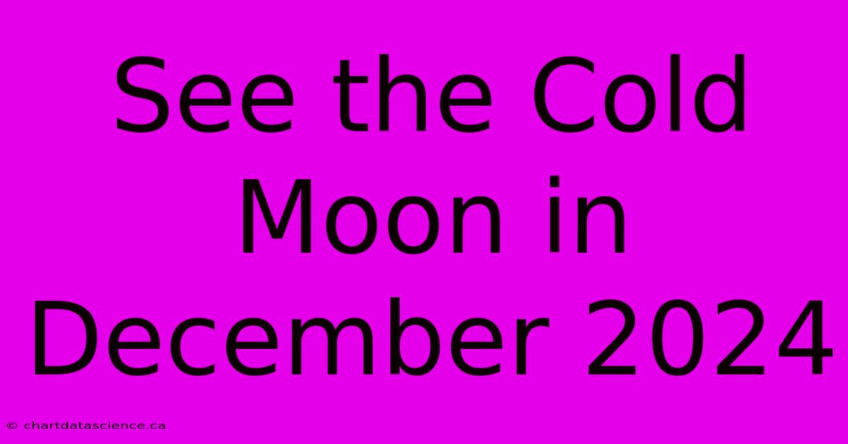 See The Cold Moon In December 2024