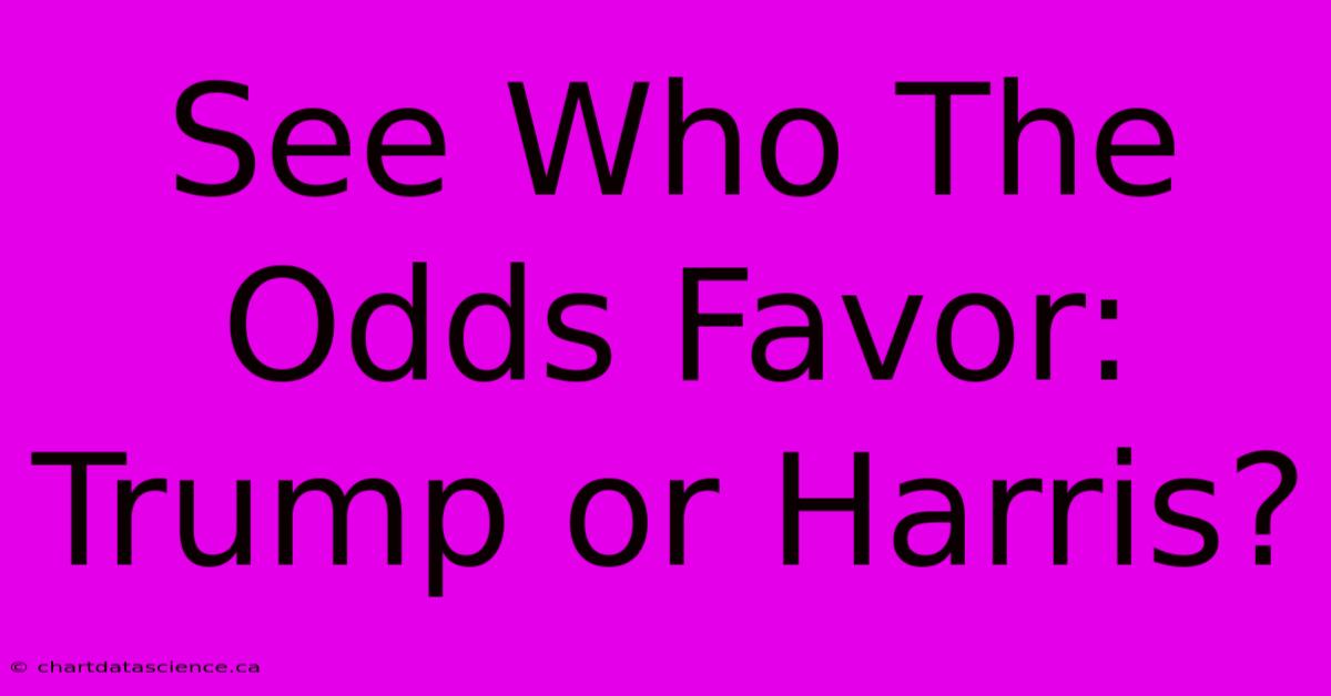 See Who The Odds Favor: Trump Or Harris? 