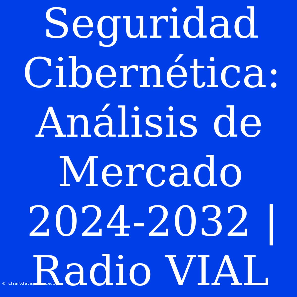 Seguridad Cibernética: Análisis De Mercado 2024-2032 | Radio VIAL