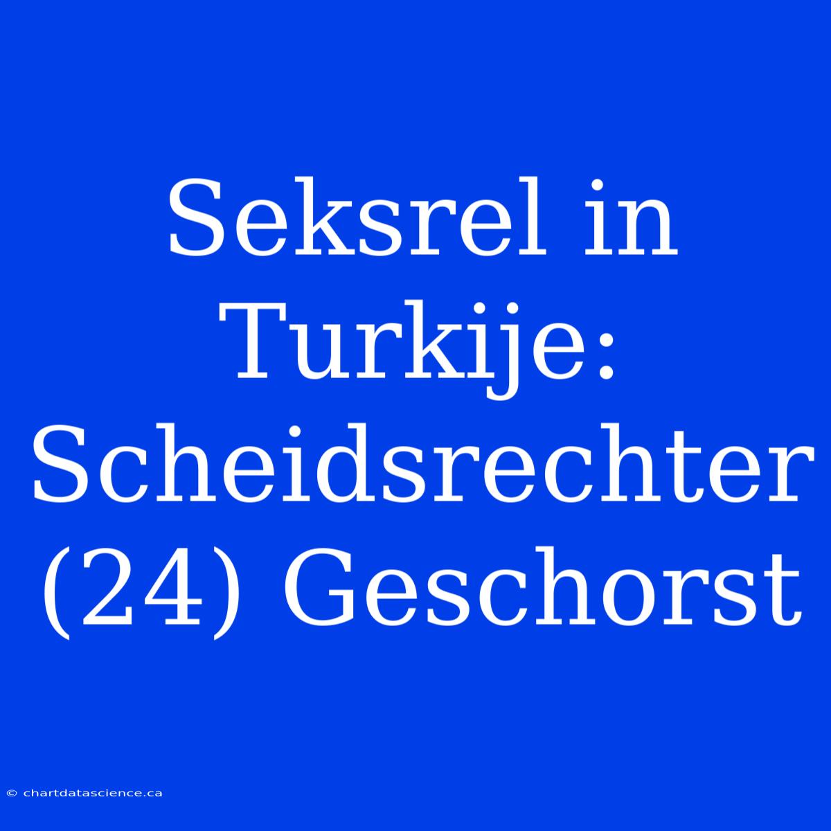 Seksrel In Turkije: Scheidsrechter (24) Geschorst