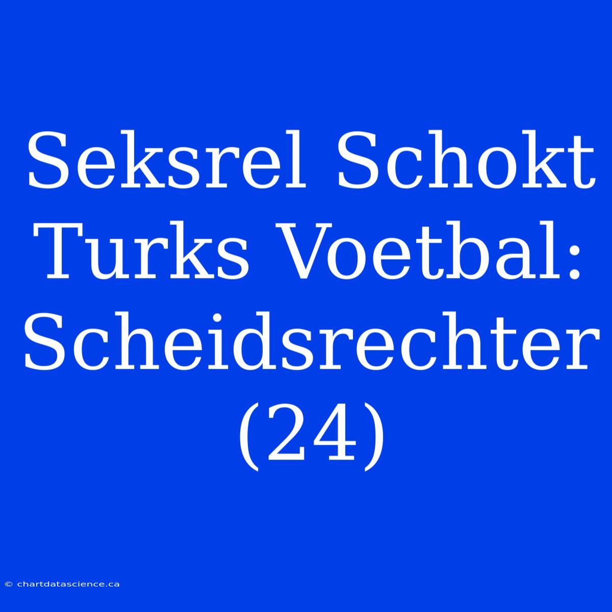 Seksrel Schokt Turks Voetbal: Scheidsrechter (24)