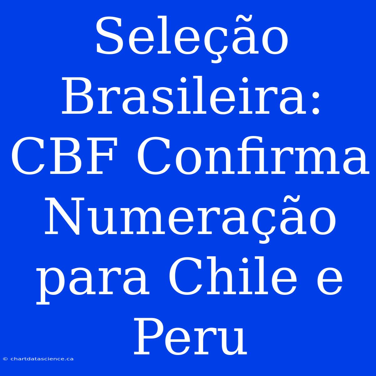 Seleção Brasileira: CBF Confirma Numeração Para Chile E Peru