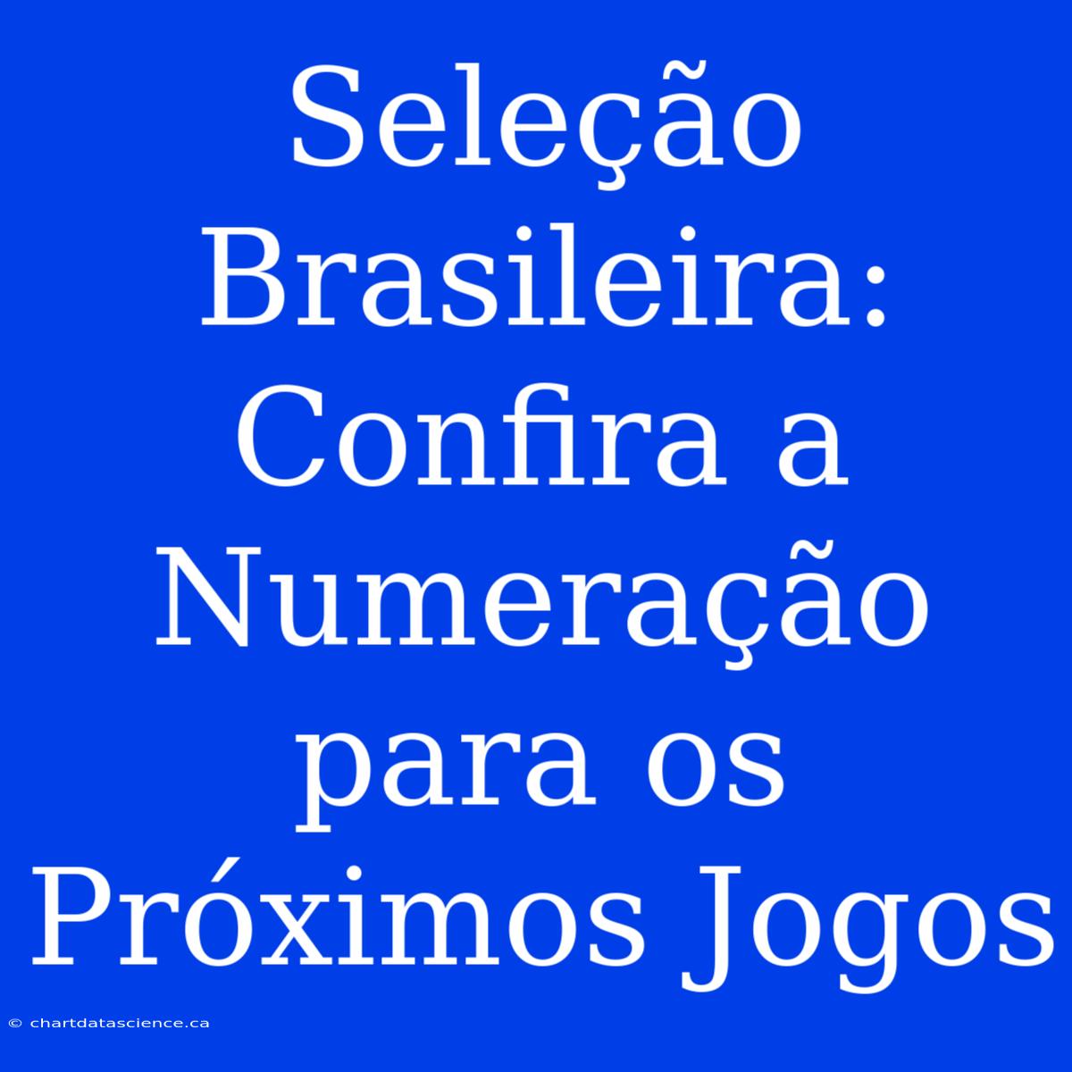 Seleção Brasileira: Confira A Numeração Para Os Próximos Jogos