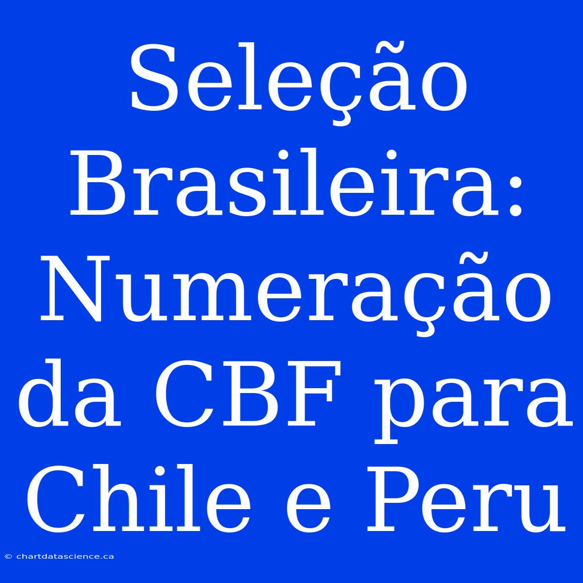 Seleção Brasileira: Numeração Da CBF Para Chile E Peru