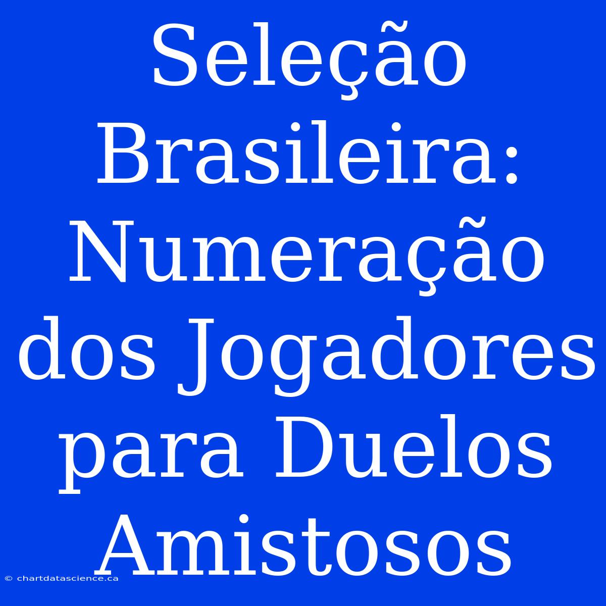 Seleção Brasileira: Numeração Dos Jogadores Para Duelos Amistosos