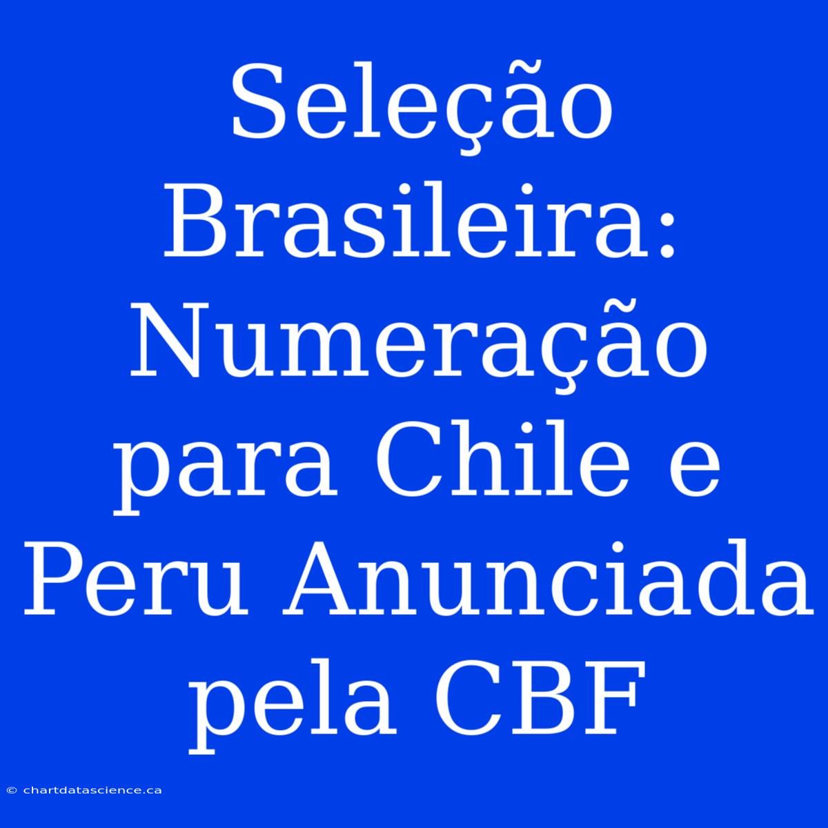 Seleção Brasileira: Numeração Para Chile E Peru Anunciada Pela CBF