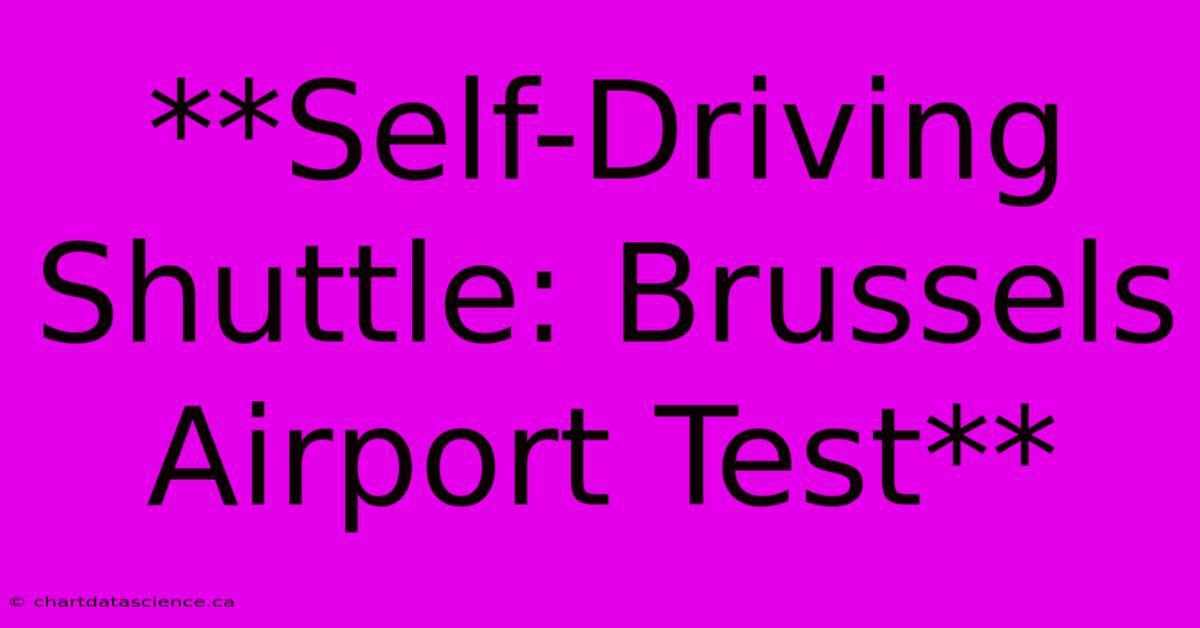 **Self-Driving Shuttle: Brussels Airport Test**