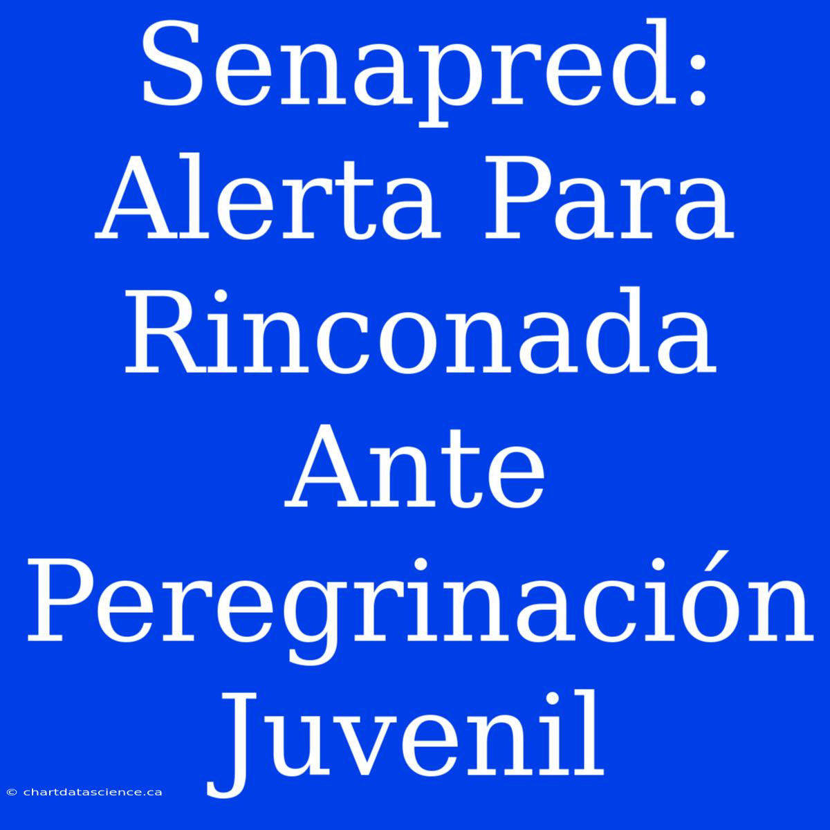 Senapred: Alerta Para Rinconada Ante Peregrinación Juvenil