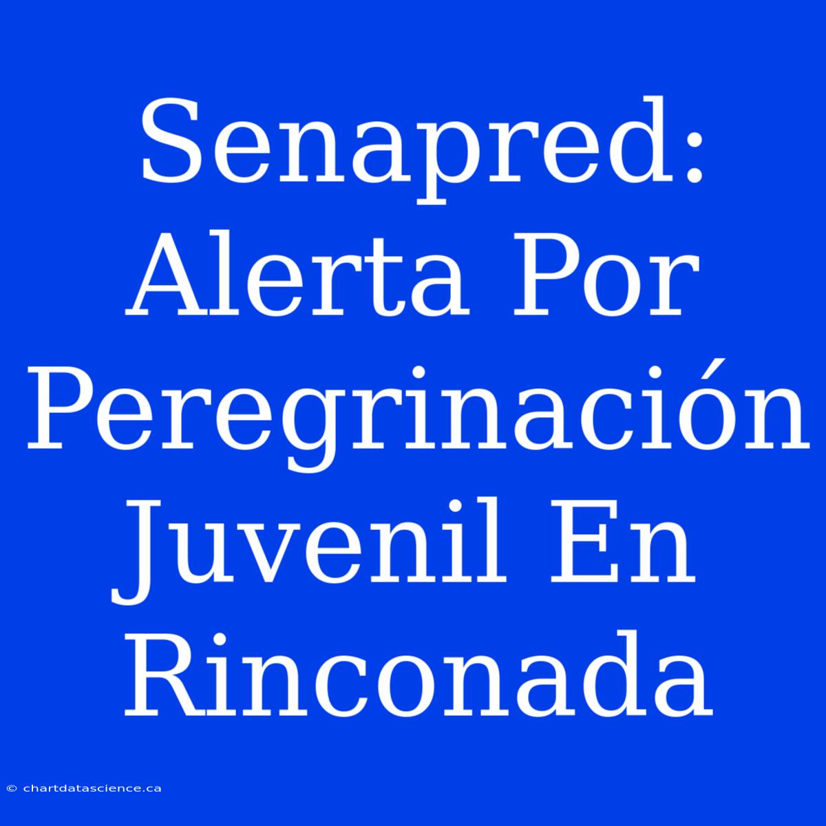 Senapred: Alerta Por Peregrinación Juvenil En Rinconada