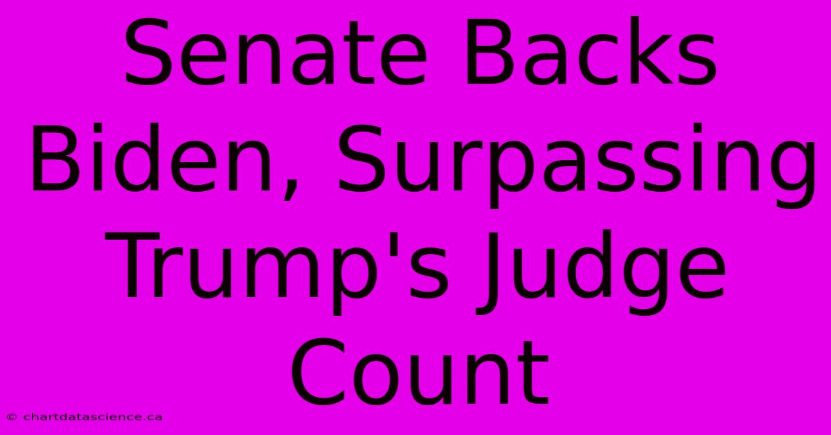 Senate Backs Biden, Surpassing Trump's Judge Count