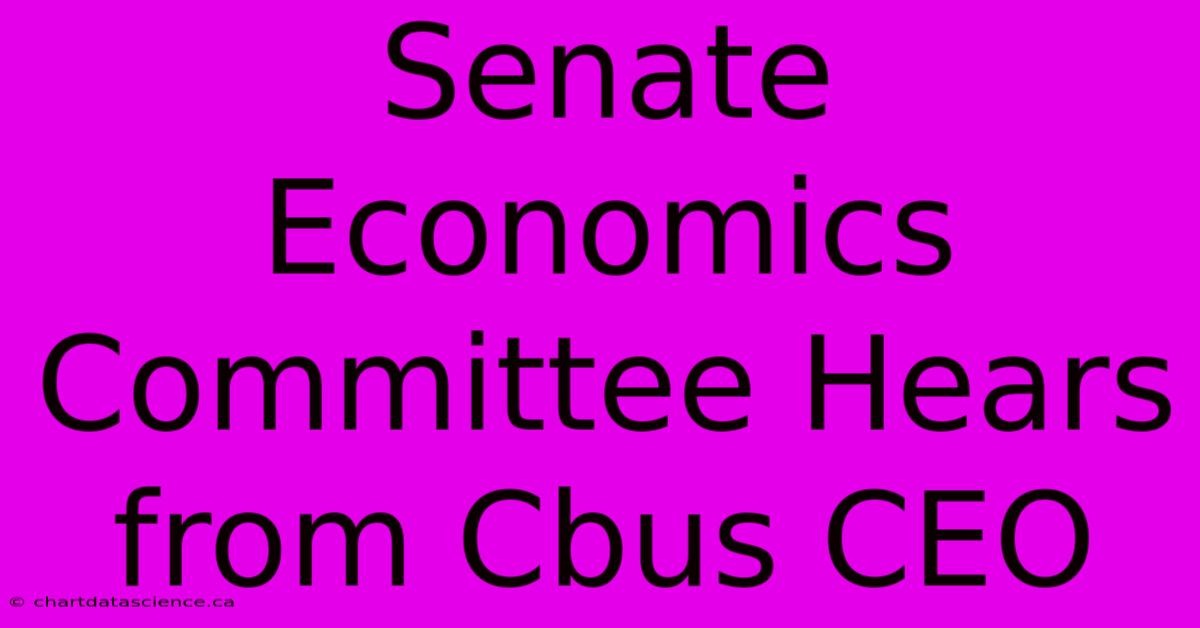 Senate Economics Committee Hears From Cbus CEO