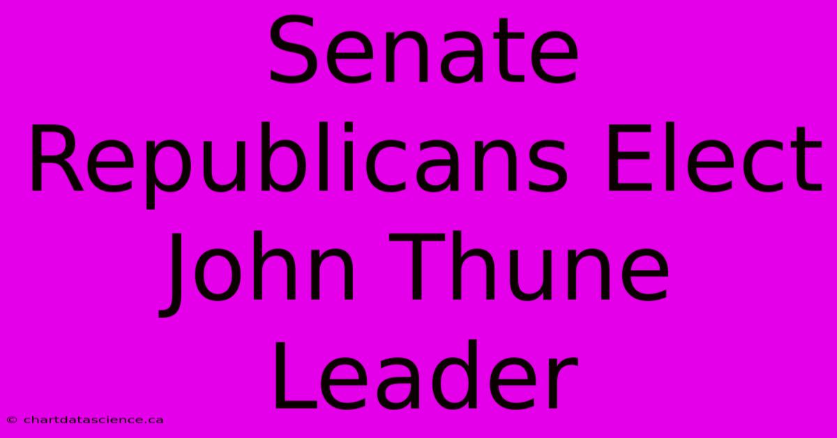 Senate Republicans Elect John Thune Leader 