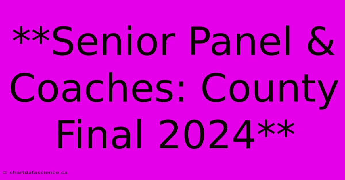 **Senior Panel & Coaches: County Final 2024**