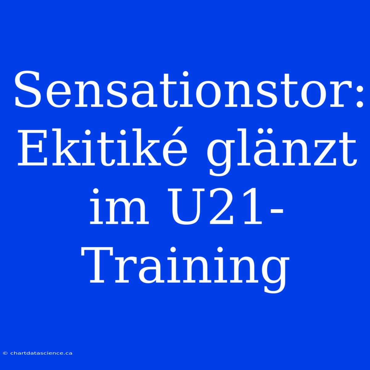 Sensationstor: Ekitiké Glänzt Im U21-Training